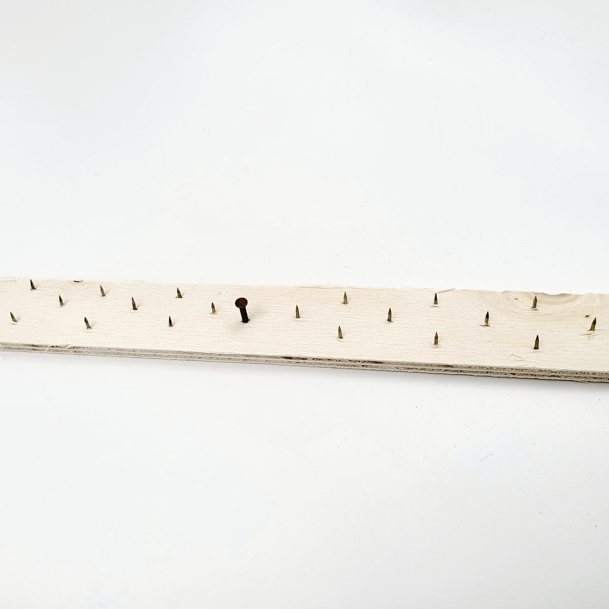 Carpet Tack with 3 rows of Tacks