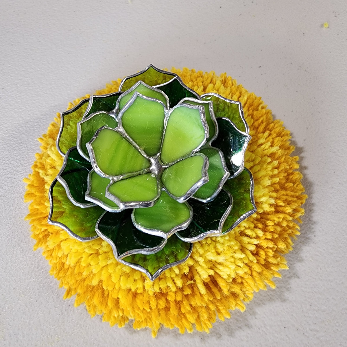 Glass succulent on a fluffy wool Rug