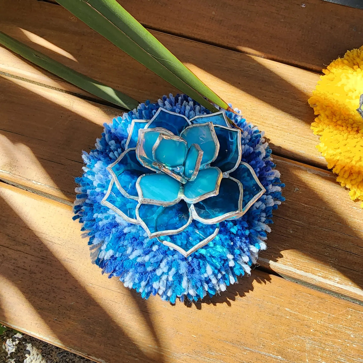 Glass succulent on a fluffy wool Rug