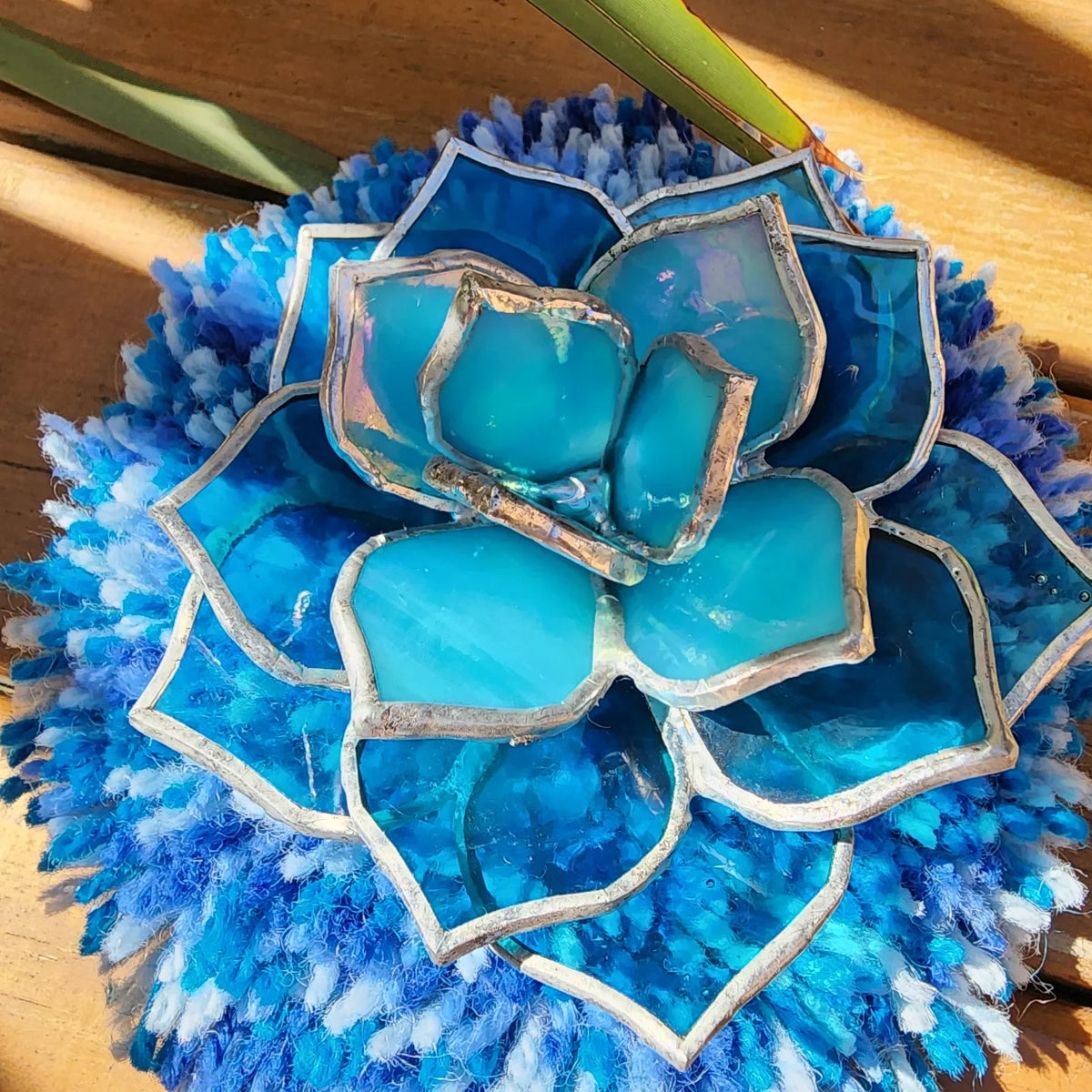 Glass succulent on a fluffy wool Rug