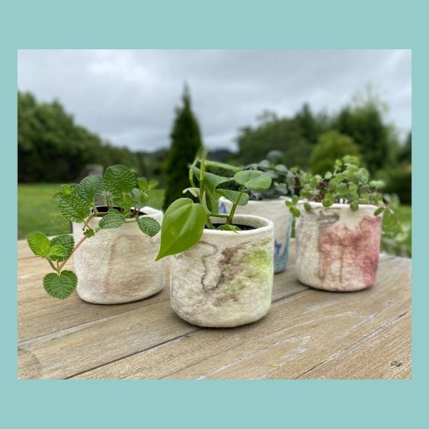 Wet Felted Potted Plant Kit by Created Creative - Punch Needle Supplies NZ